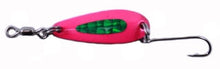 Load image into Gallery viewer, 1/16 OZ SPOON LURE - ALLIGATORS ASSORTED
