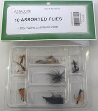 Load image into Gallery viewer, PACK OF 10 ASSORTED FLIES - #6 and #8
